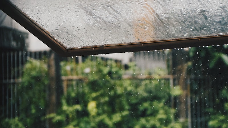雨の日の過ごし方おすすめアイデア集|おうち時間も外出も心地よく楽しむコツ
