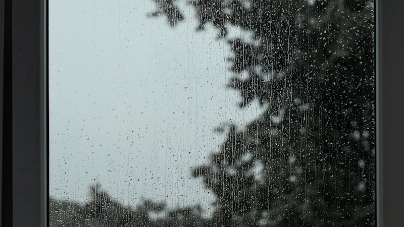 雨の日の過ごし方おすすめアイデア集|おうち時間も外出も心地よく楽しむコツ